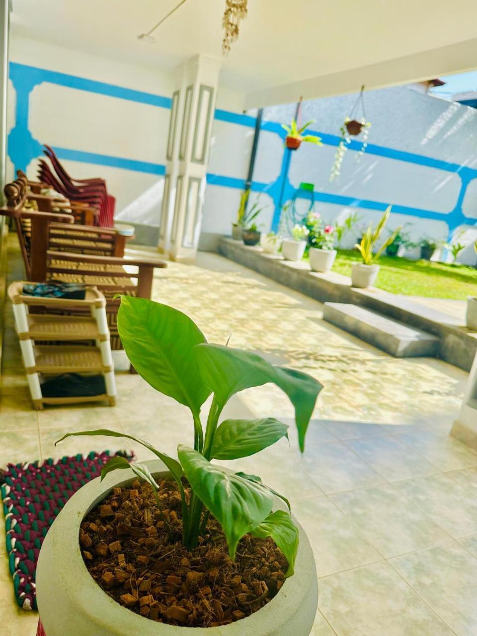 Sea Breeze Guest House Negombo Kültér fotó